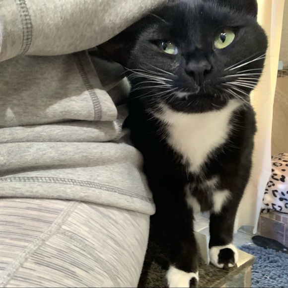 Meet your Posher, Sara - Picture 4 of 8